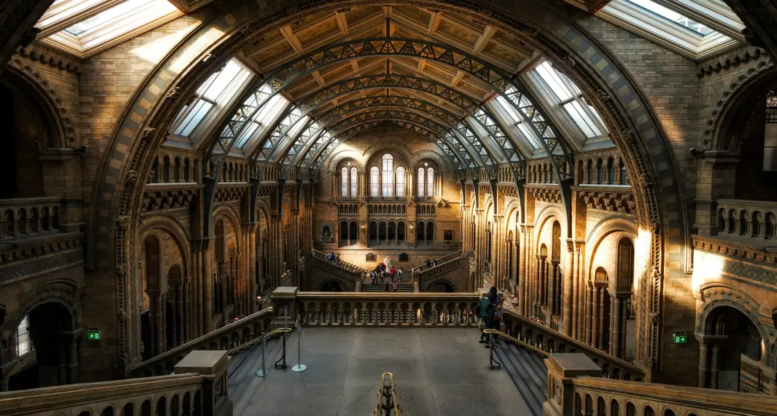 Grand museum interior with vaulted glass ceiling